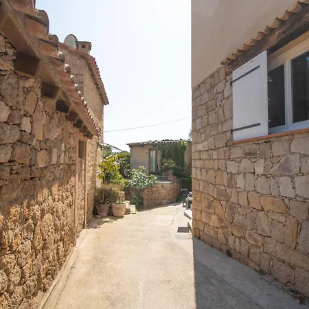 Solsticia * Albitreccia