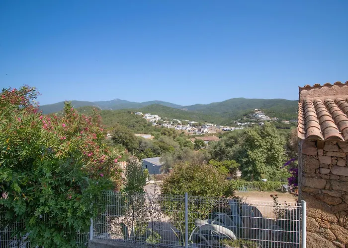 Solsticia Albitreccia