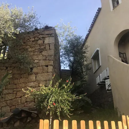 Solsticia