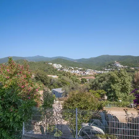 Solsticia Albitreccia