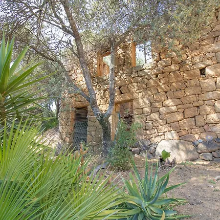 Solsticia * Albitreccia