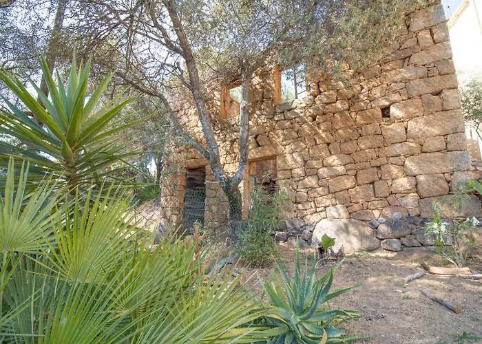 Solsticia Albitreccia