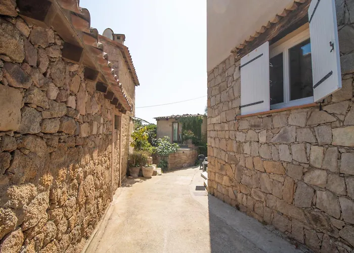 Solsticia * Albitreccia